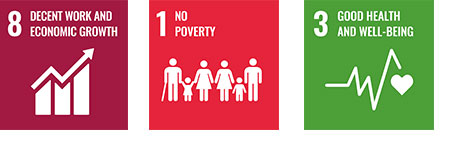 Goal8_Decent work and economic growth, Goal1_No poverty, Goal3_Good health and well-being, Goal17_Partnerships for the goals