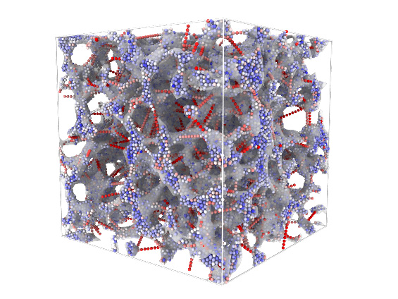高分子溶液の粘弾性相分離において観察されるネットワーク構造のスナップショット