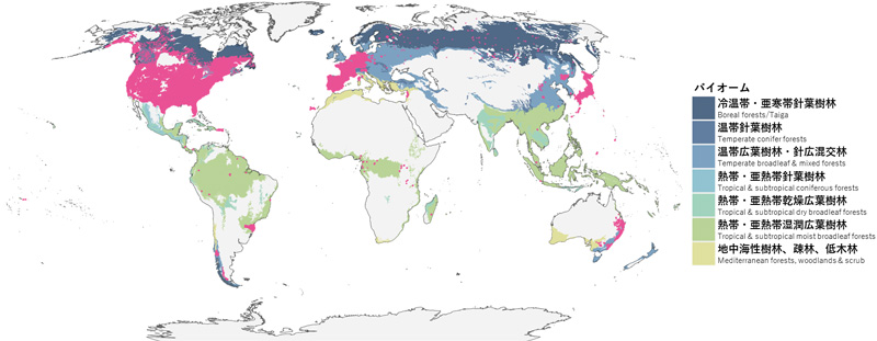 森林の生物多様性の観測地点の位置図