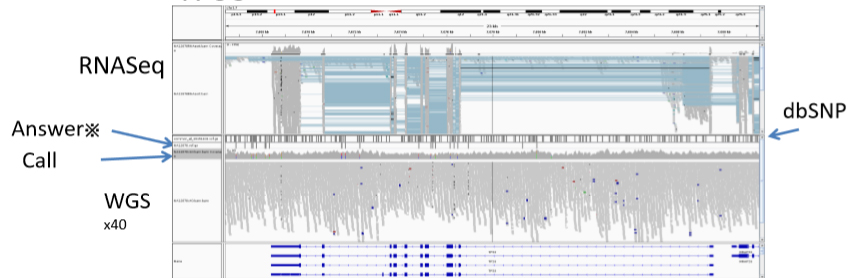 RNA Sequencing and Whole genome sequencing using Hadoop