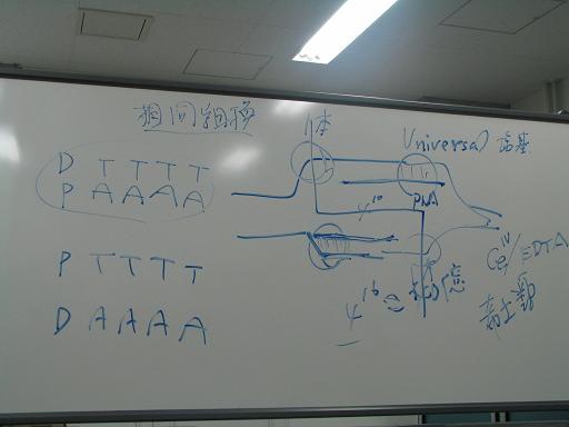 ホワイトボードの説明図