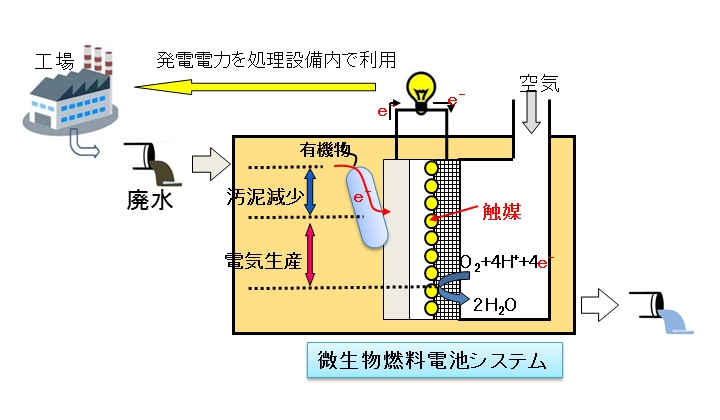 橋本研