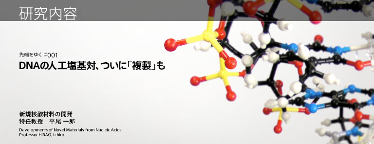 研究内容 DNAの人工塩基対、ついに「複製」も 新規核酸材料の開発 特任教授　平尾 一郎
