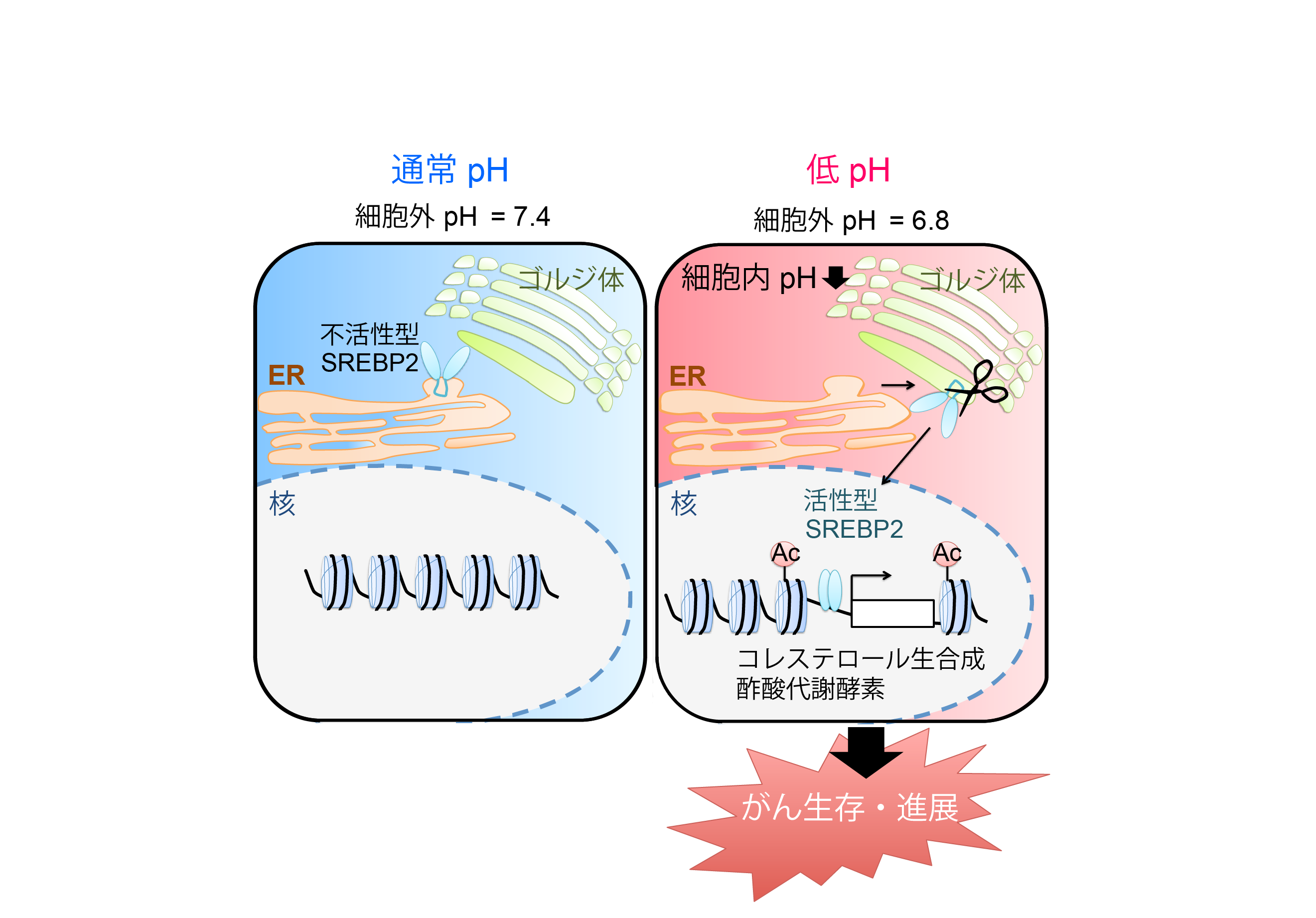 図1