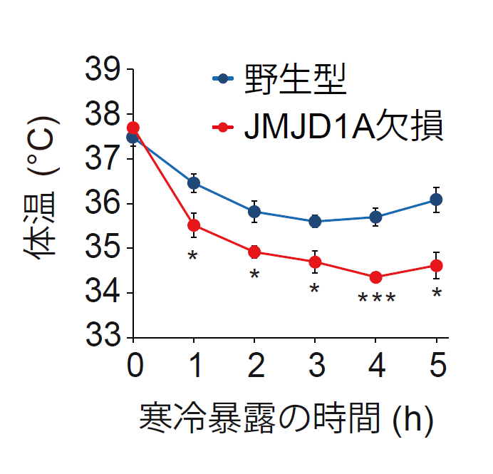 図1