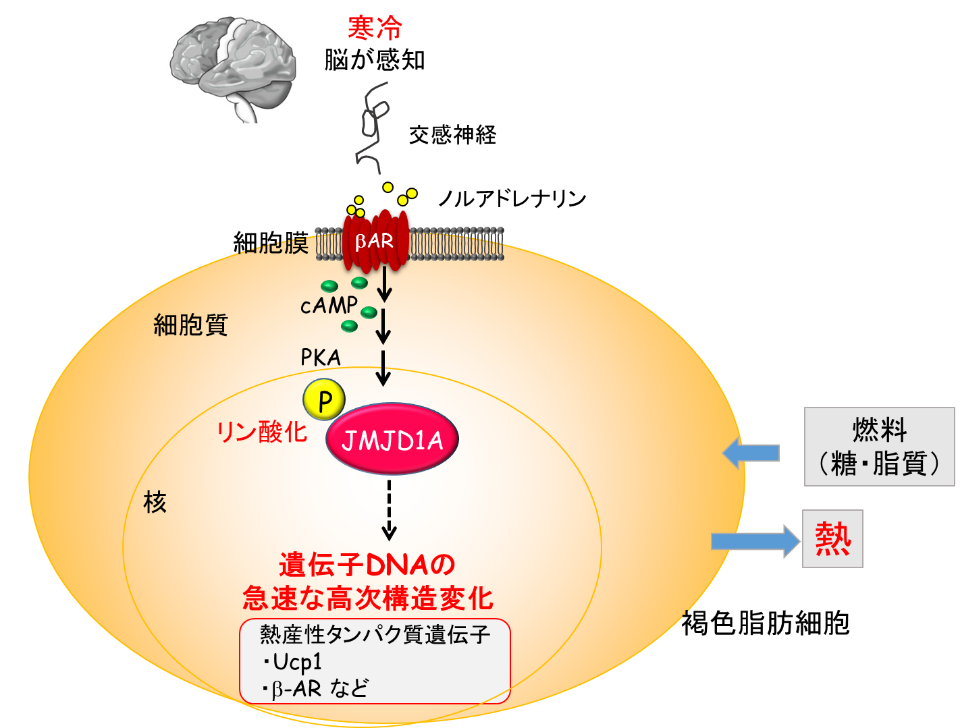 図2