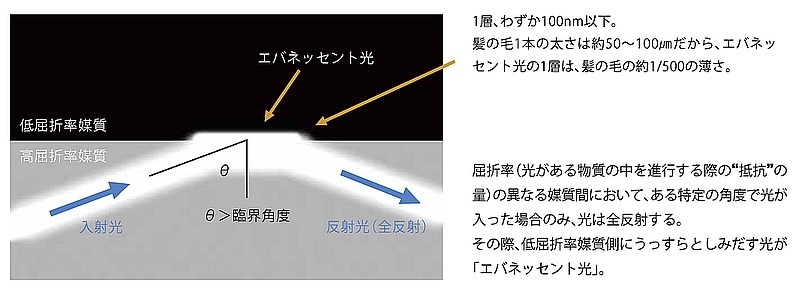 1層、わずか100nm以下。髪の毛1本の太さは約50～100㎛だから、エバネッセント光の1層は、髪の毛の約1/500の薄さ。屈折率（光がある物質の中を進行する際の“抵抗”の
量）の異なる媒質間において、ある特定の角度で光が
入った場合のみ、光は全反射する。
その際、低屈折率媒質側にうっすらとしみだす光が
「エバネッセント光」。