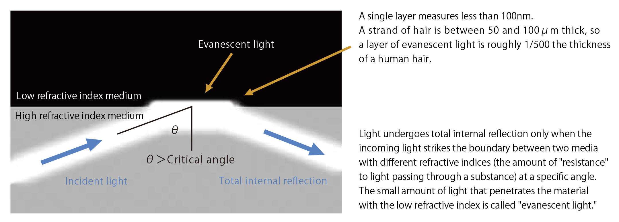 A single layer measures less than 100nm. A strand of hair is between 50 and 100μm thick, so a layer of evanescent light is roughly 1/500 the thickness of a human hair.
Light undergoes total internal reflection only when the incoming light strikes the boundary between two media with different refractive indices (the amount of 