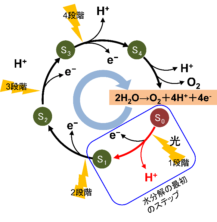 図1　水分解反応の概要