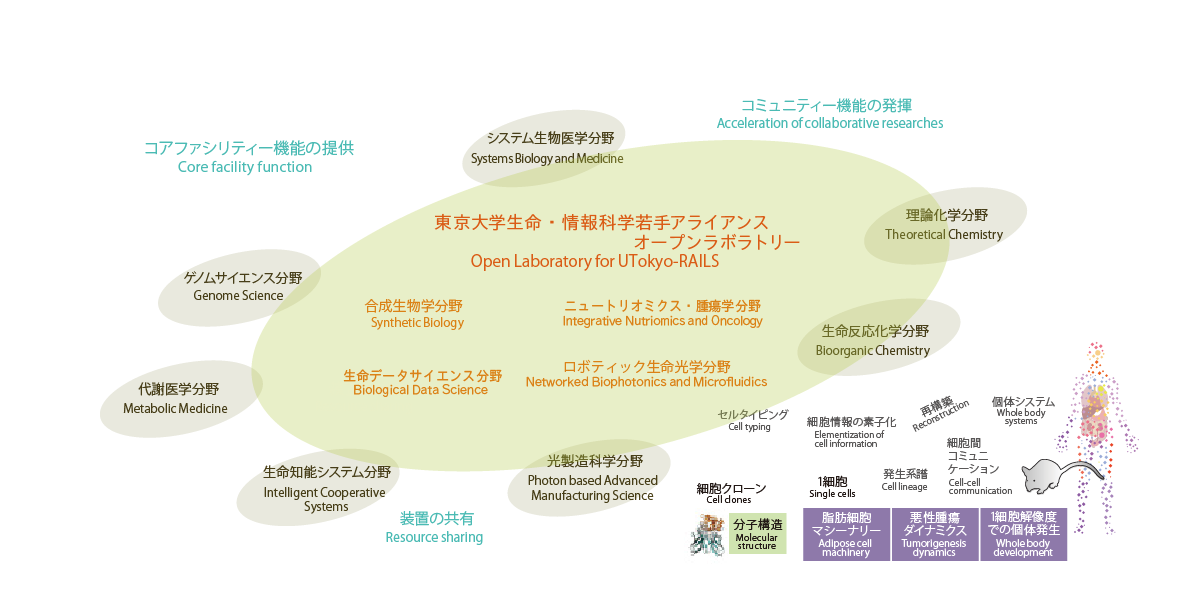 若手アライアンス　組織イメージ図