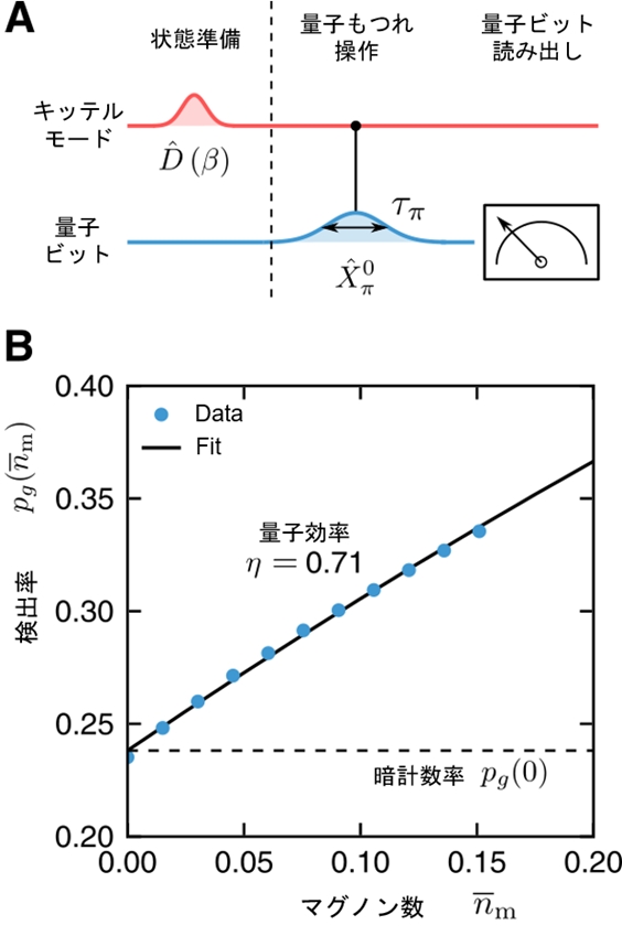 A　プロトコル　B　Y軸検出率、X軸、マグノン数のグラフ