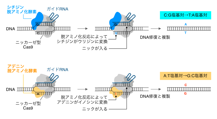 図1