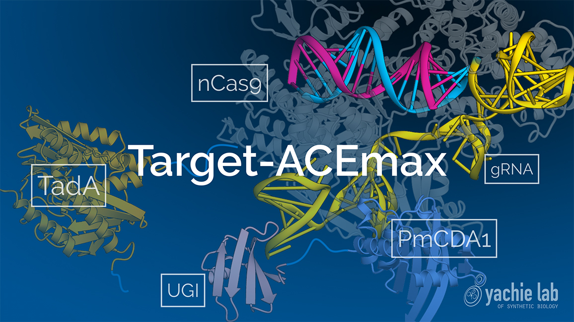 Target-ACEmax