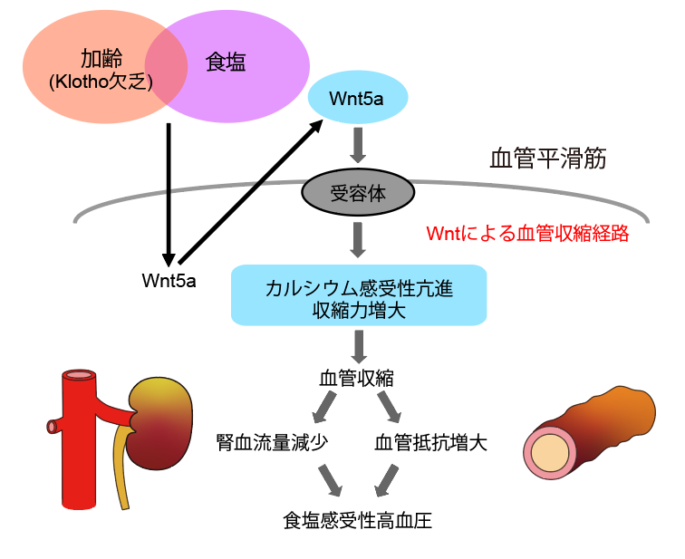 図1