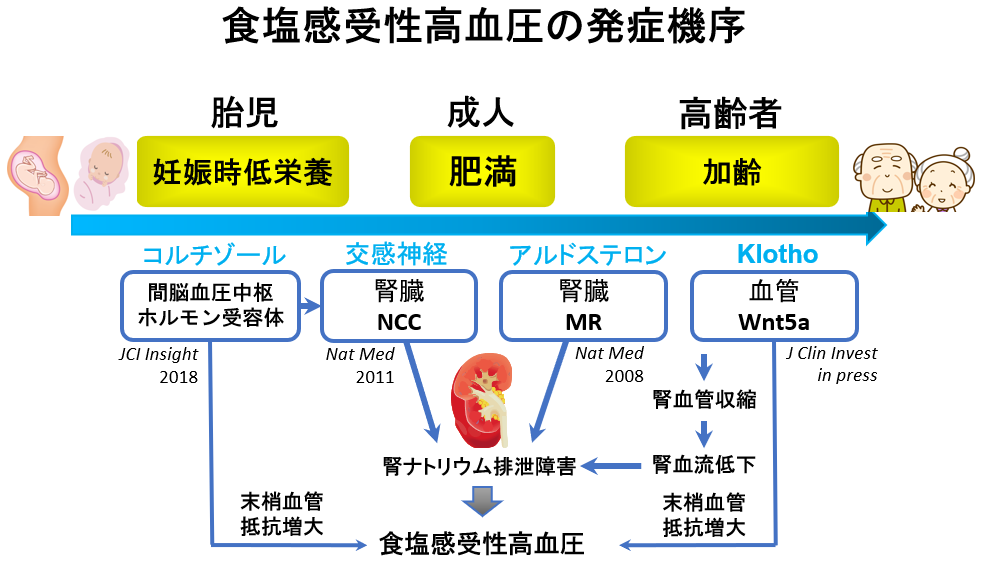 図2