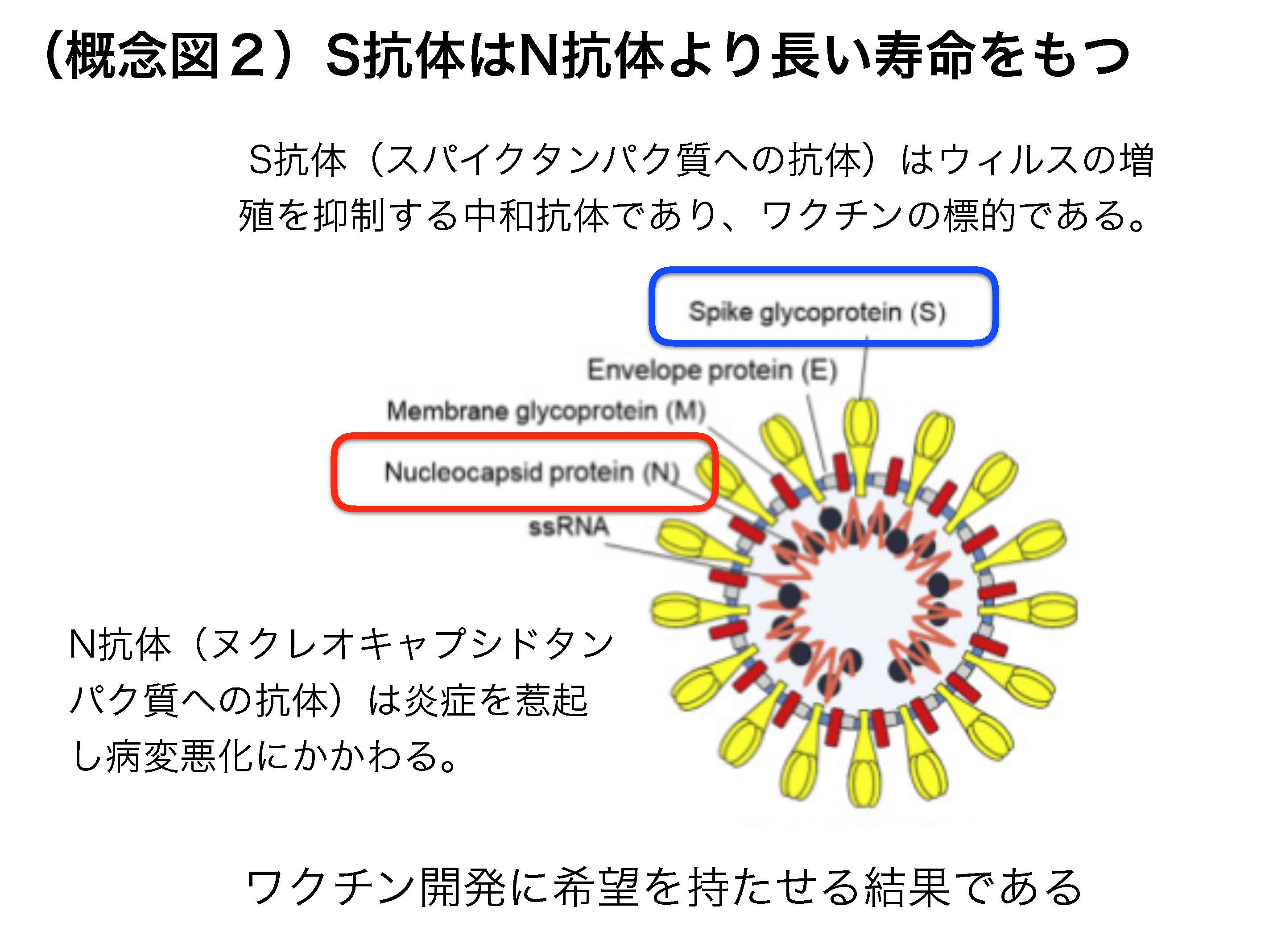 図2