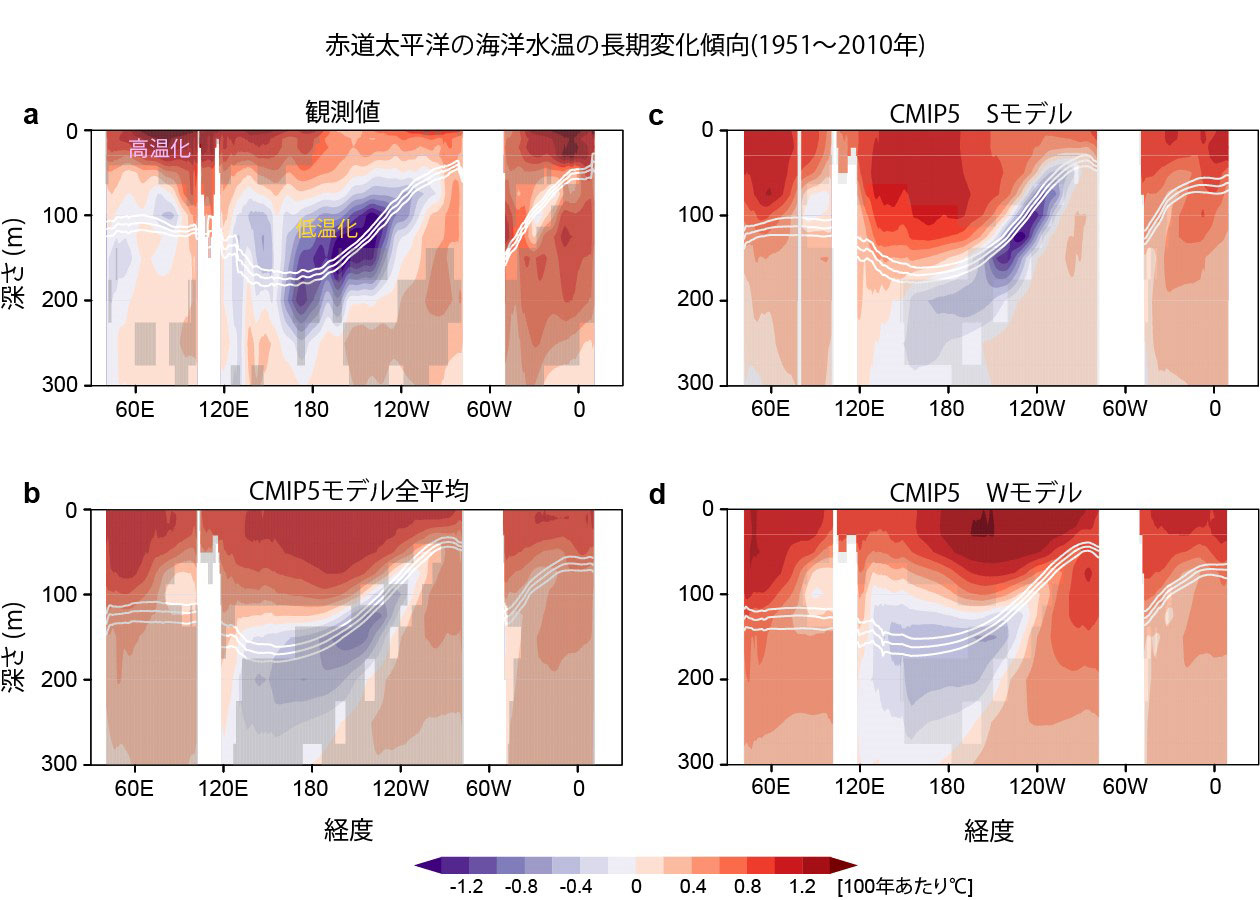 図3 赤道太平洋の海洋水温の長期変化傾向(1951年~2010年)