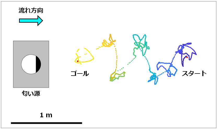 図2　スパイラルサージアルゴリズムを用いたバイオハイブリッドドローンの匂い源定位実験の飛行軌跡。