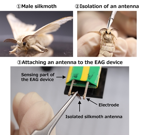 Figure1