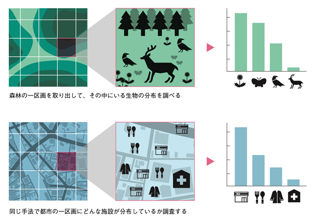 自然界における種の多様性指数の考え方と都市への応用のダイアグラム