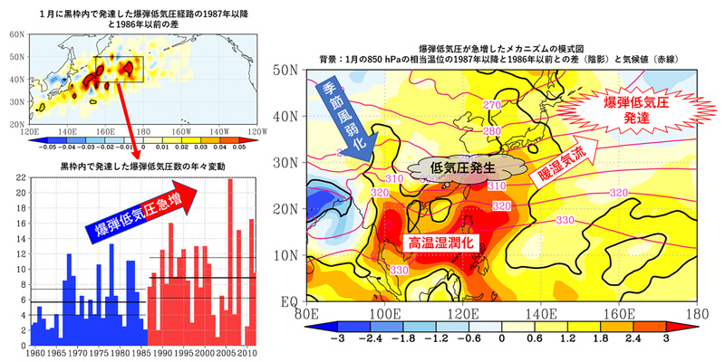 研究結果の概略図