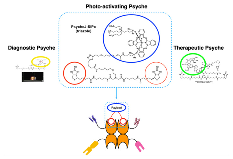 様々な診断薬、治療薬を結合でききるPsyche