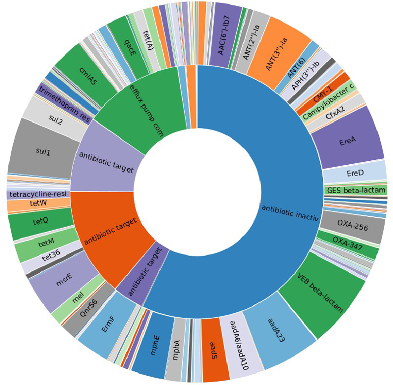 Metagenomic analysis of antimicrobial resistance genes in water environment