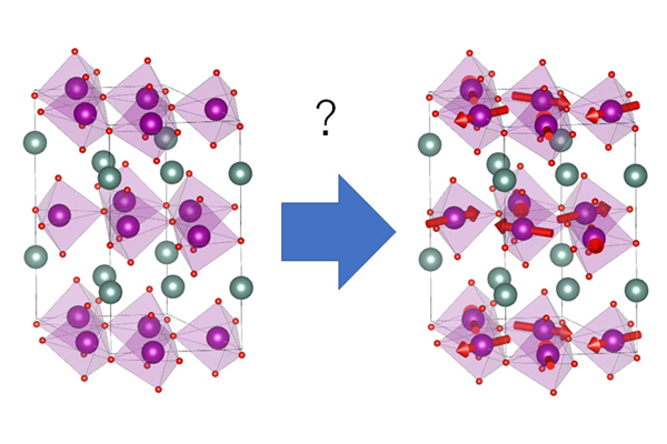 Magnetic structure prediction for a given crystal structure