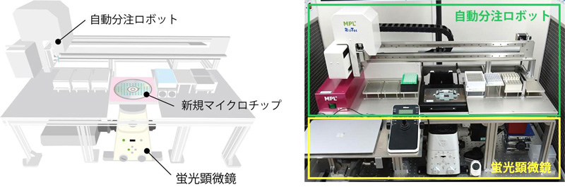 opn-SATORI装置