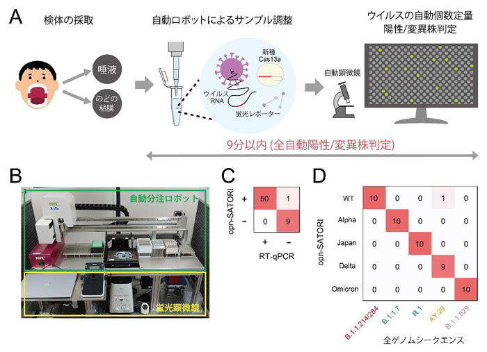 図2 opn-SATORI装置による全自動COVID-19感染診断