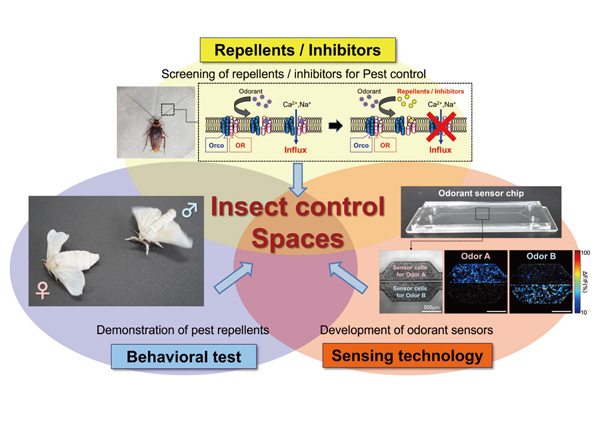 Research concept of insect-controlled space design