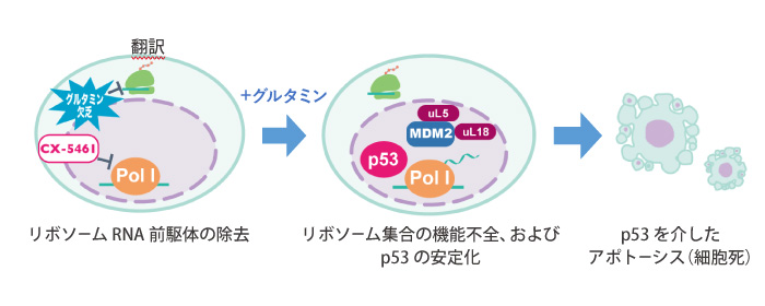 図2