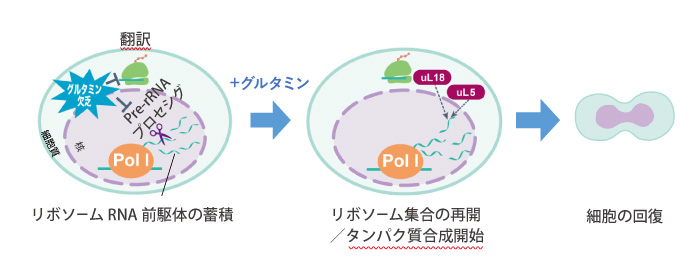 図1