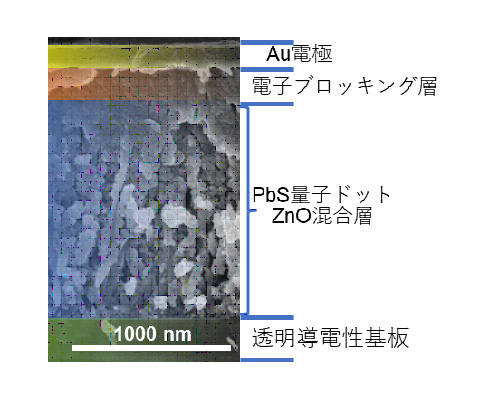 量子ドット太陽電池の断面電子顕微鏡像