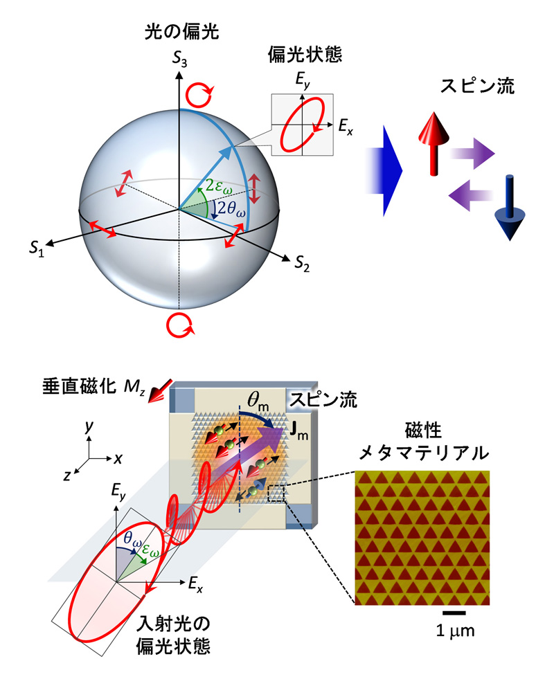 スピン流を光で完全に制御する新原理を開拓～超高速・高性能な光スピントロニクスデバイスの実現に期待～