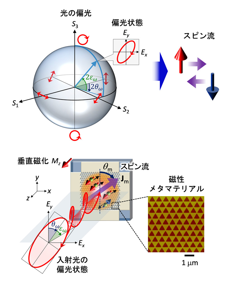 研究の概念図