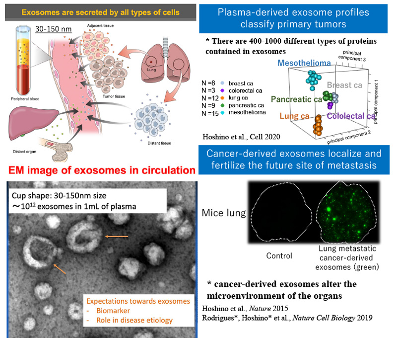 Exosome in disease etiology and detection