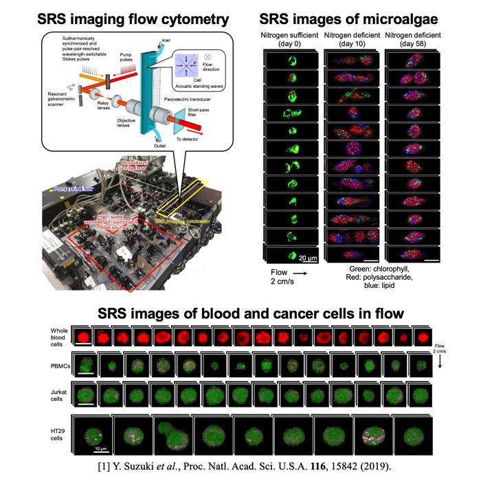 Large-scale SRS imaging