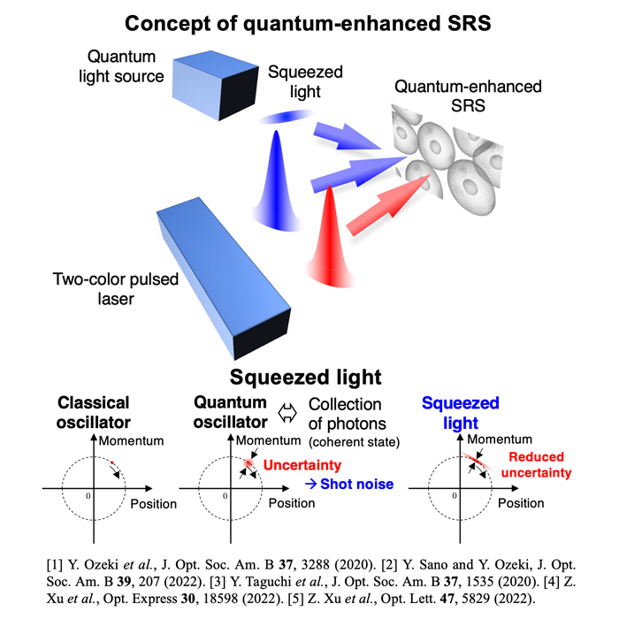 Quantum-enhanced SRS imaging