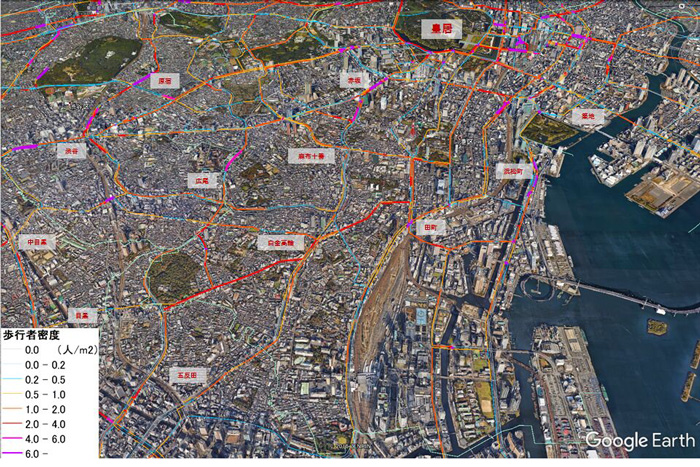 Simulation of 6 million stranded commuters in the Tokyo metropolitan area