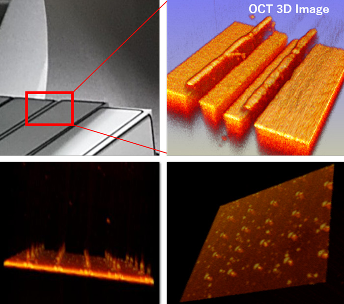 High-Speed OCT System for Industrial Applications