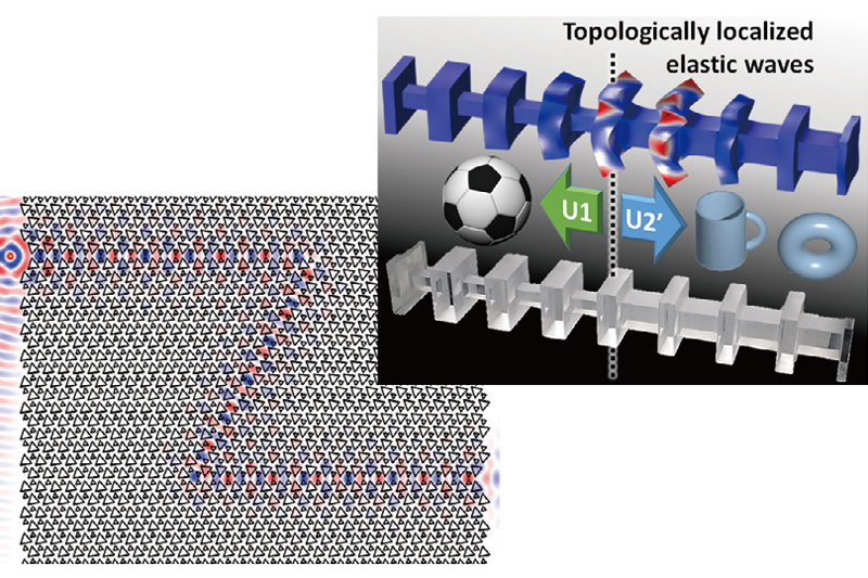 Control of light and elastic wave based on the concept of topology