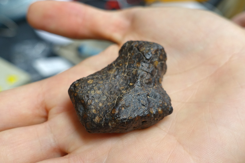 Primordial meteorite preserving information on the early solar system