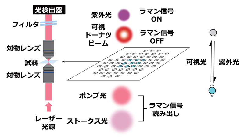 ラマンプローブによる超解像イメージング（RESORT）法の模式図