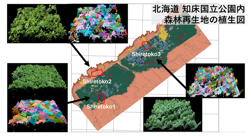 ドローンによる高解像度の森林3Dスキャン画像と樹木個体の色分け画像