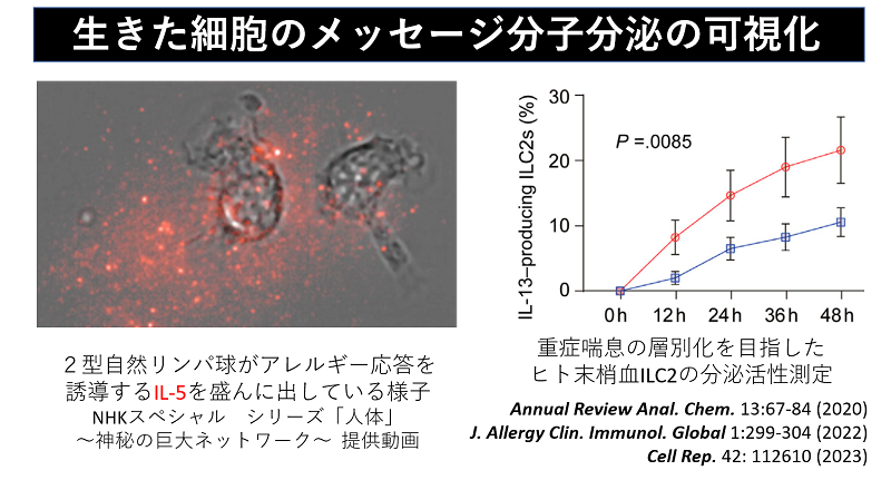 生きた細胞のメッセージ分子分泌の可視化