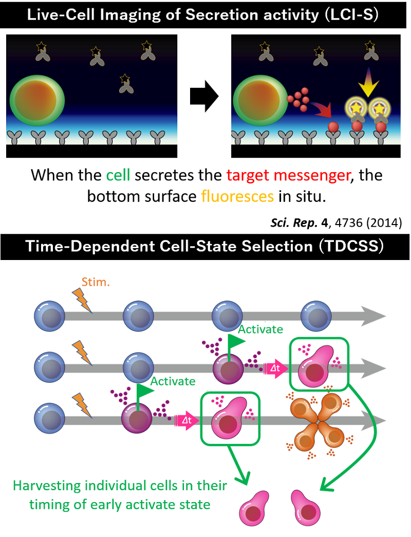  LCI-S & TDCSS