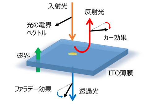 イプシロンニアゼロ材料における磁気光学効果の増強を発見～新しい磁気光学材料の可能性を拓く～