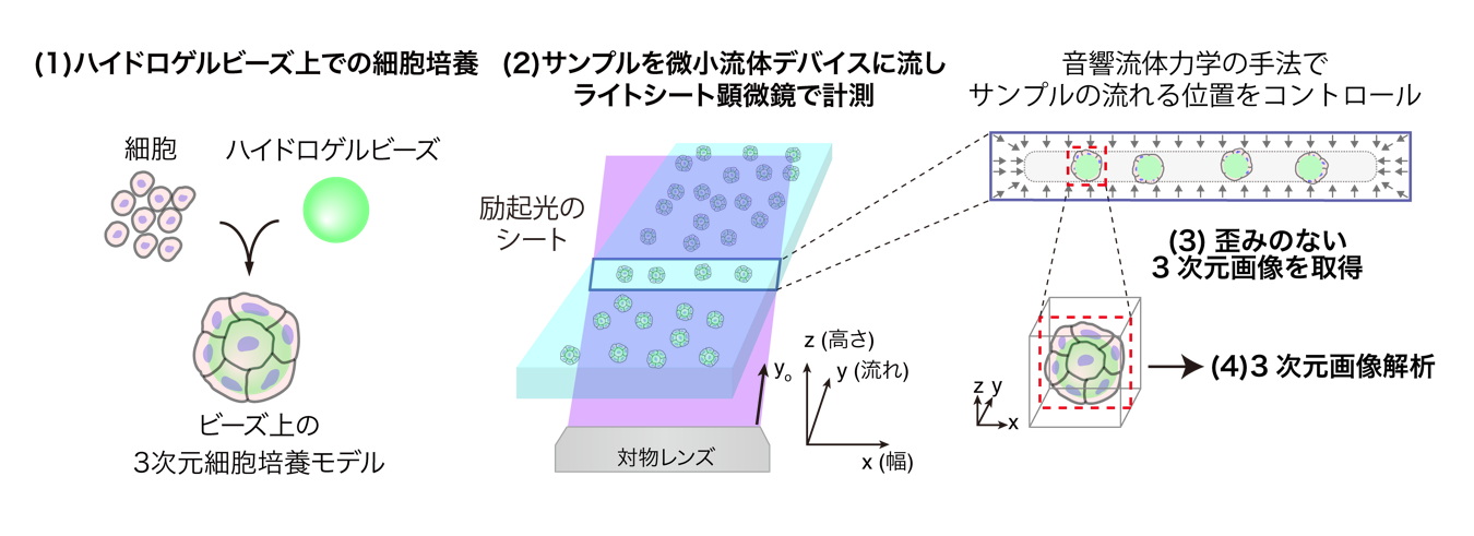 図1