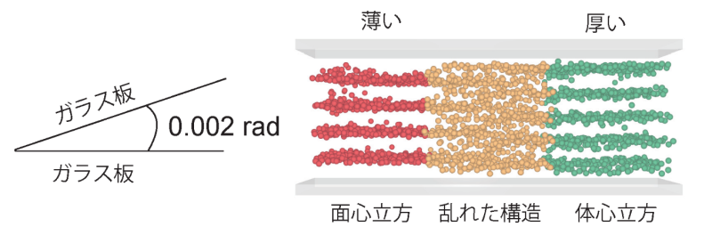 傾斜セル（左）に閉じ込められたコロイド結晶の構造変化（右）の模式図